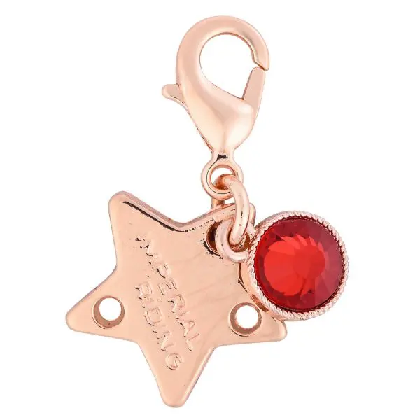 IR Bedels IRHBirthstone - Afbeelding 10