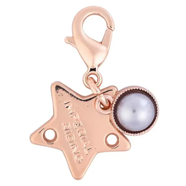 IR Bedels IRHBirthstone - Afbeelding 6
