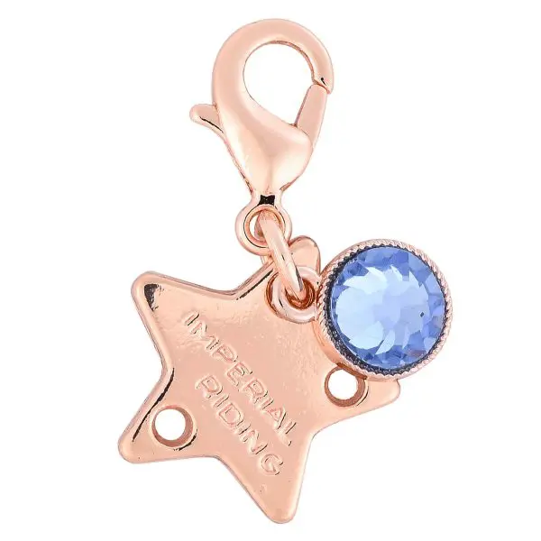 IR Bedels IRHBirthstone - Afbeelding 4