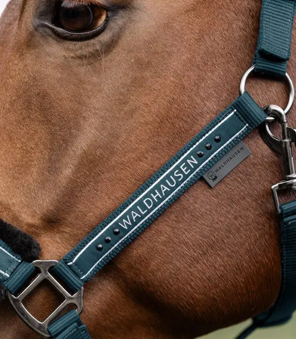 WH Halster Elegant - Afbeelding 9
