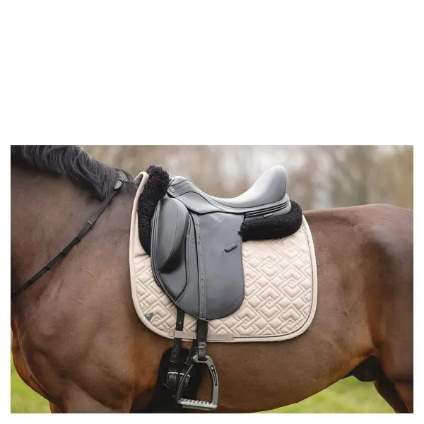 Anky Zadeldek 3C Profession Dressage - Afbeelding 5