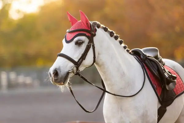 LMX Classic Fly Hood - Afbeelding 4