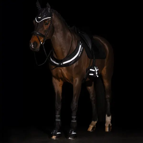 IR Luminous Borsttuig - Afbeelding 5