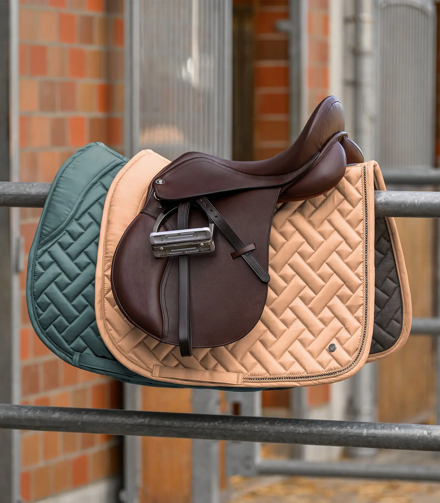 WH Zadeldek Turin - Afbeelding 3