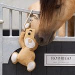 Teddy