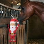 Santa