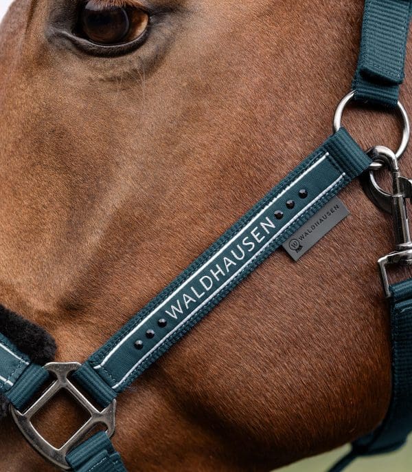 WH Halster Elegant - Afbeelding 9