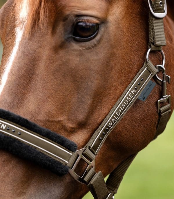 WH Halster Elegant - Afbeelding 6