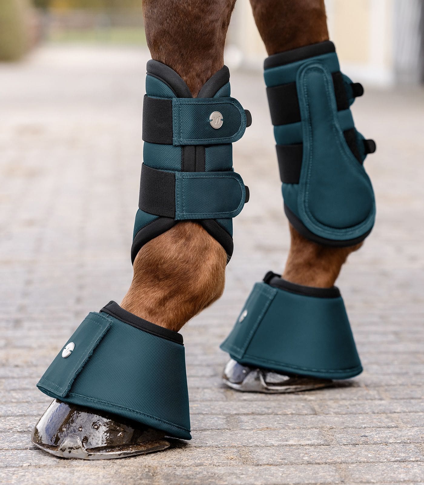 WH Dressage boots Comfort Fit - Afbeelding 5