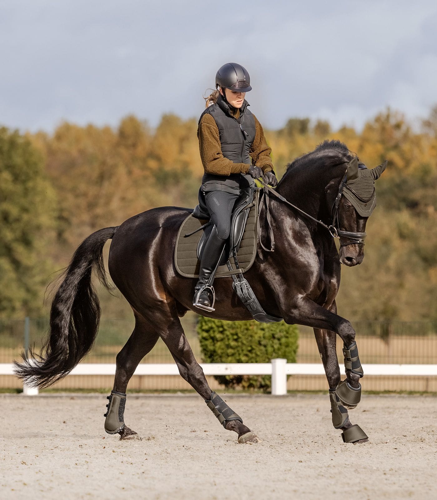 WH Dressage boots Comfort Fit - Afbeelding 2
