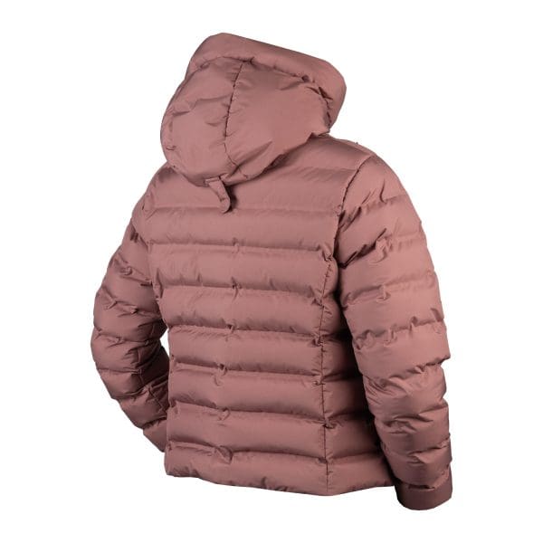Horka Pufferjas Penelope - Afbeelding 3