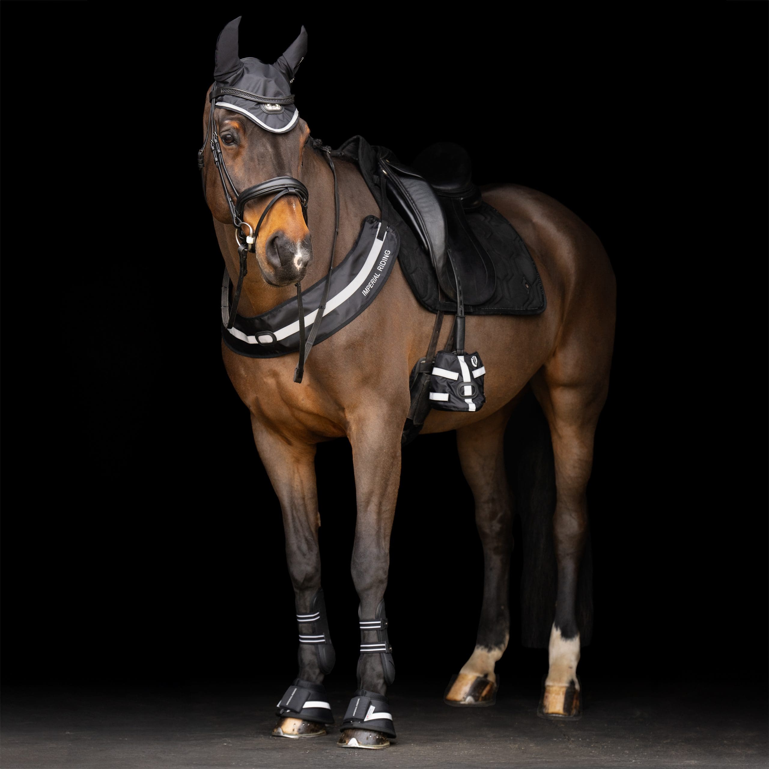 IR Luminous Borsttuig - Afbeelding 6