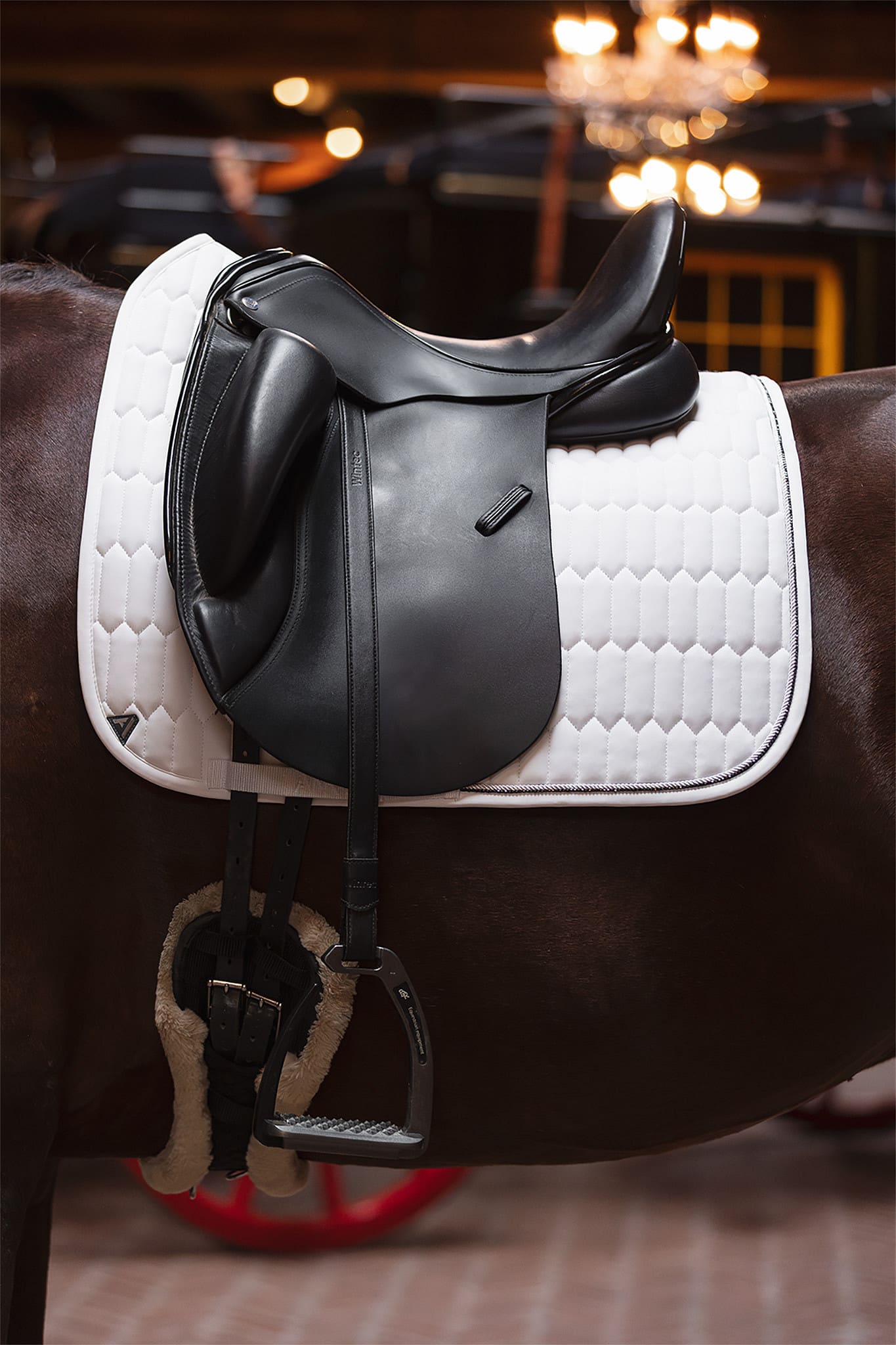 Anky Dressage Pad Perception - Afbeelding 5