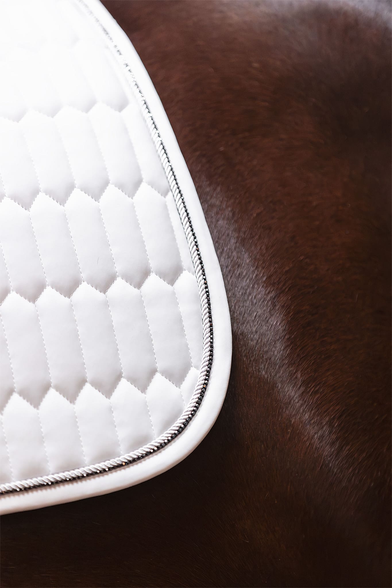 Anky Dressage Pad Perception - Afbeelding 3